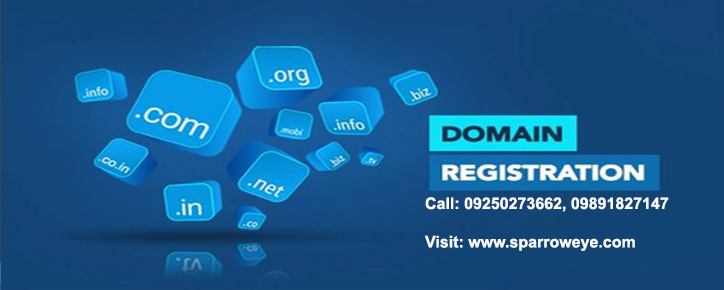 Domain Name Registration in Delhi
