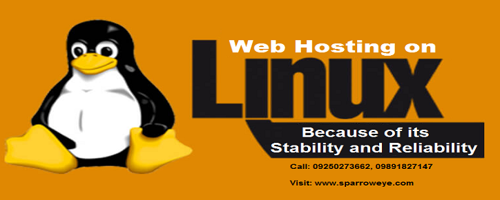Linux Web Hosting