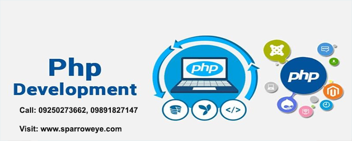 PHP Web Development in Delhi
