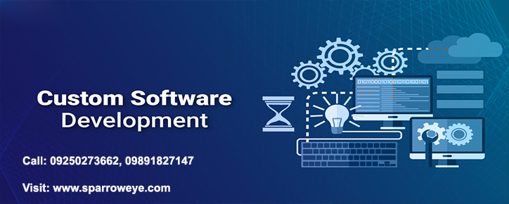 Software Development in Delhi